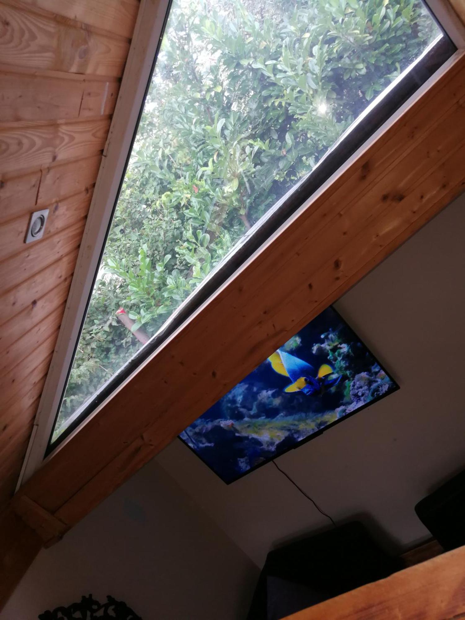 Wohlfuehloase - Zimmer, Appartment - Im Herzen Starnbergs Bilik gambar